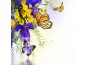 Фото щори Пеперуди 89